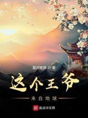 这个王爷得盘txt