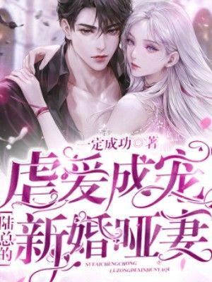 江篱陆泽宸免费阅读