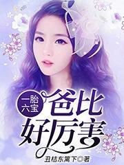 陶宝司冥寒免费全文名字