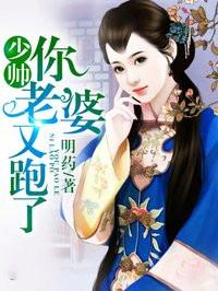 少帅你老婆又跑了TXT