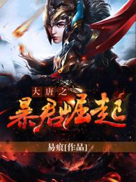 大唐之暴君的儿子