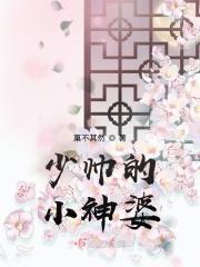 少帅的神秘娇妻阅读