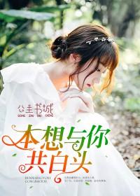 本想与你共白头叶轻语