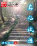 真仙装备分解