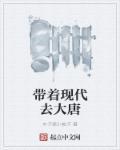 带着系统来大唐 顶点