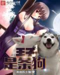 王子和狗