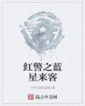 我要看蓝警和红警