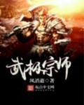 武极宗师影书