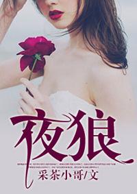 夜狼安防