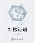 阅读红楼