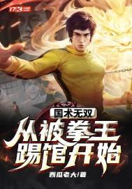 国术无双龙翊全集