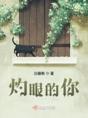 灼眼的狐狸作品