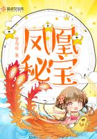 凤凰秘藏酒52度哪里有得卖