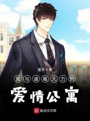 爱情公寓诸葛大力的完美男神
