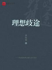 理想sv