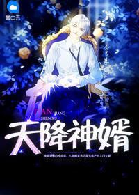 天降神婿最新